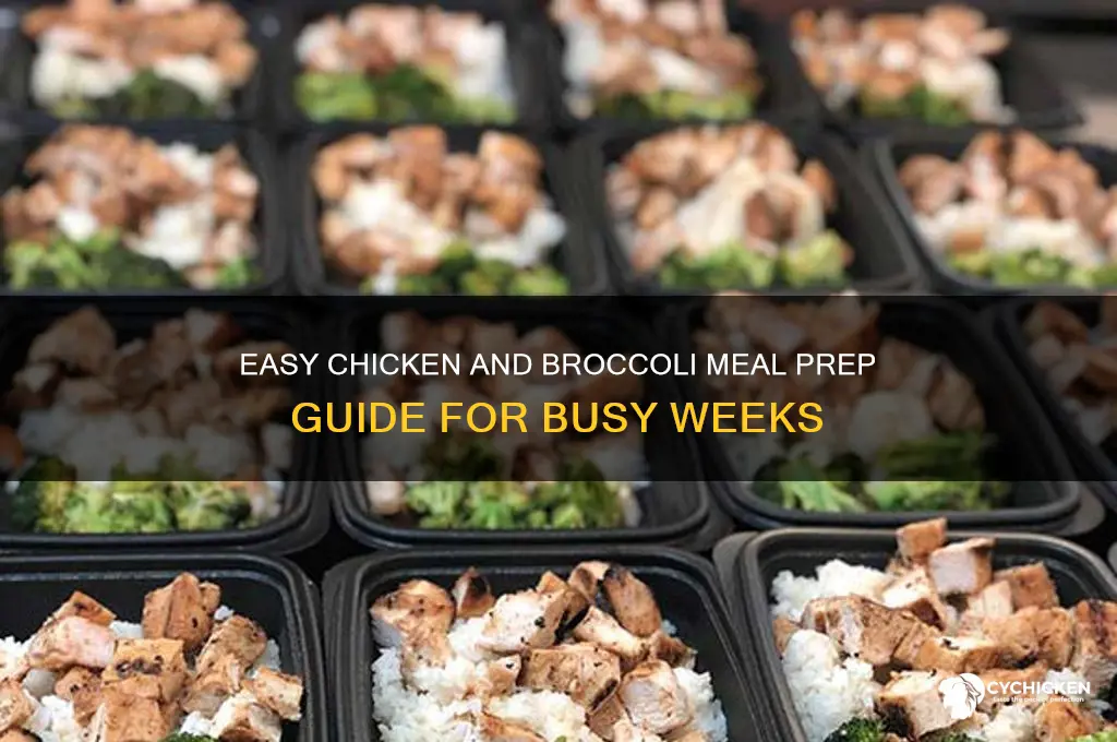 how to meal prep chicken and broccoli