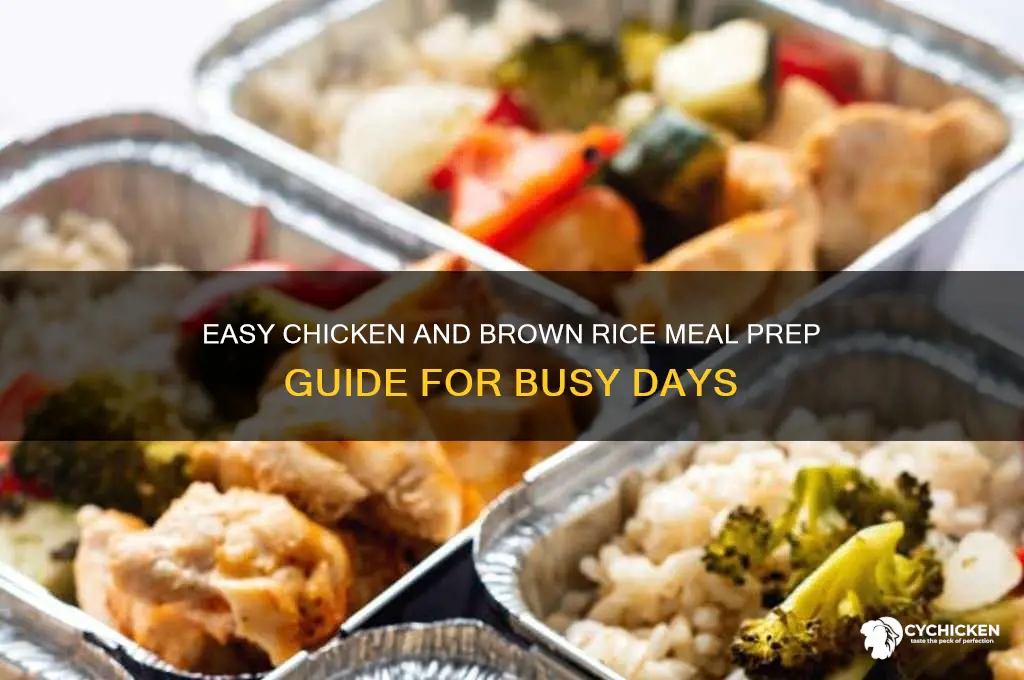 how to meal prep chicken and brown rice