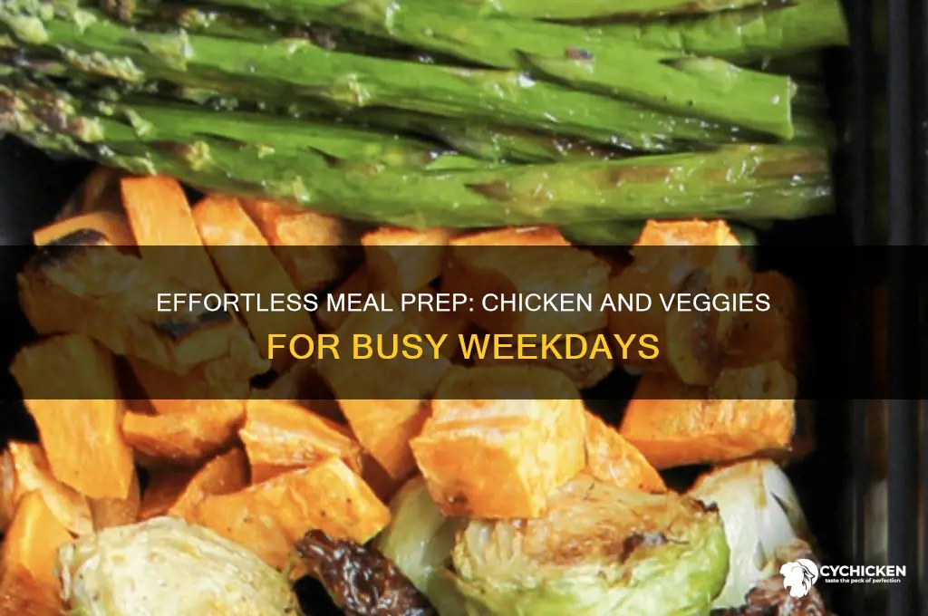 how to meal prep chicken and veggies