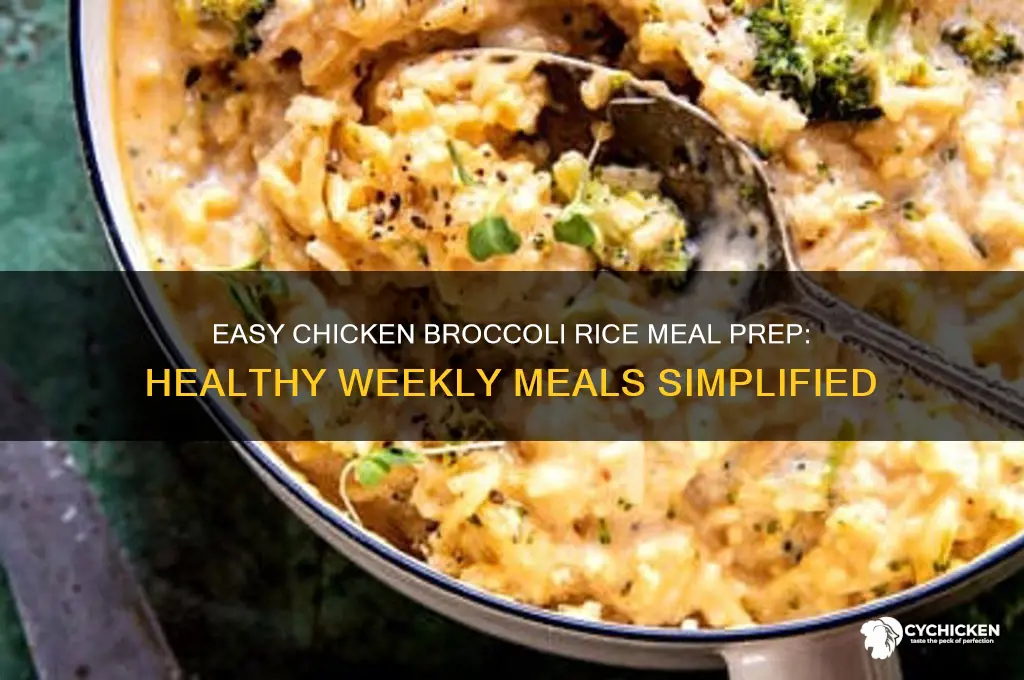 how to meal prep chicken broccoli and rice