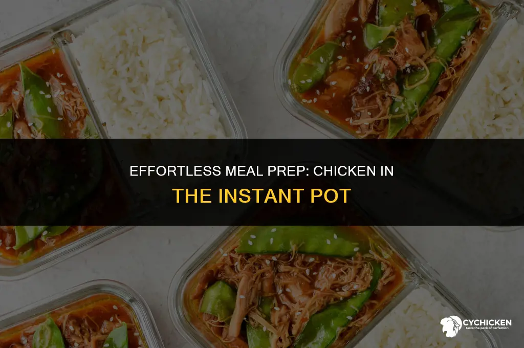 how to meal prep chicken in insta pot