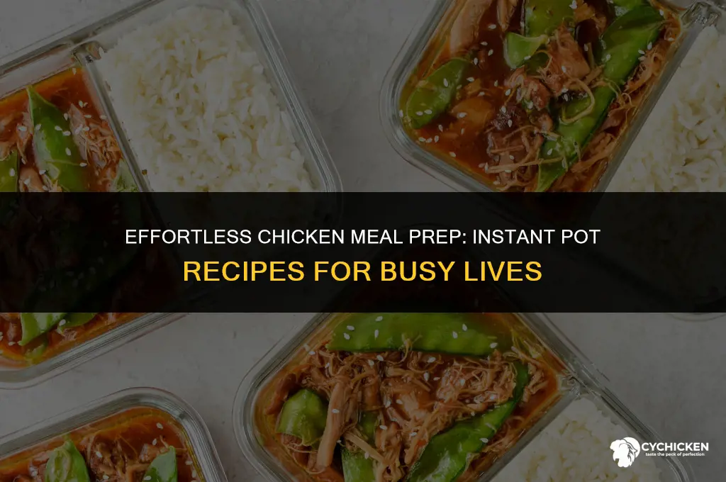 how to meal prep chicken instant pot