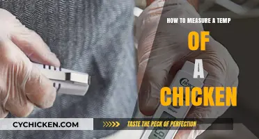 Mastering Chicken Temperature: A Step-by-Step Guide to Perfectly Cooked Poultry