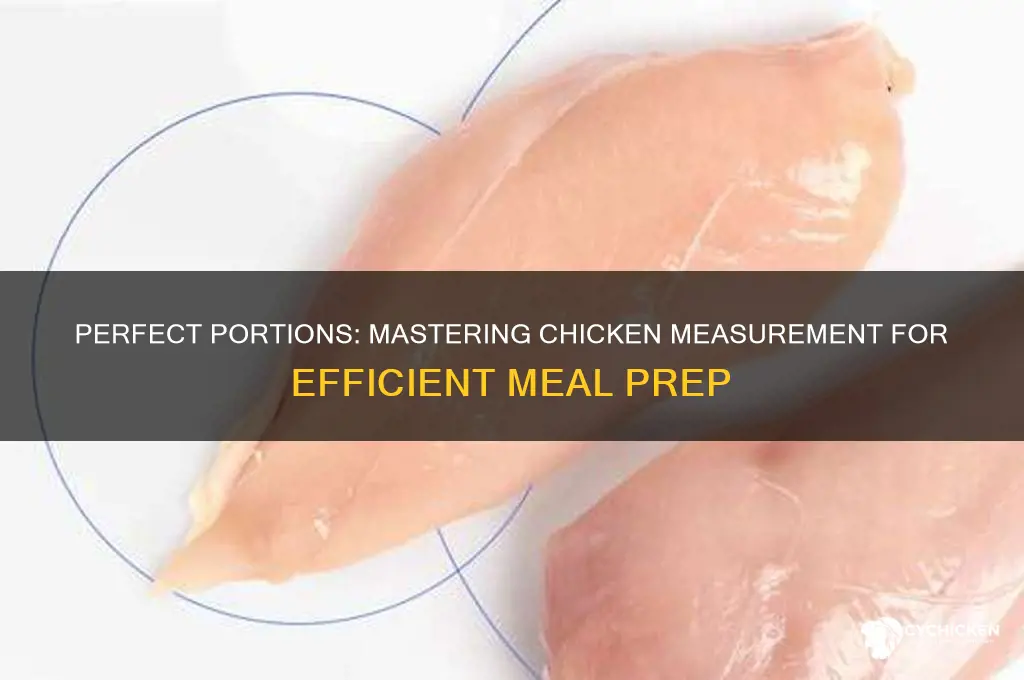 how to measure chicken for meal prep
