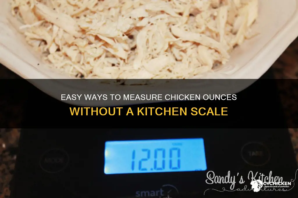 how to measure chicken oz without a scale