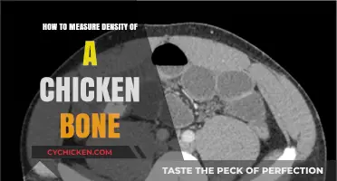 Measuring Chicken Bone Density: A Step-by-Step Guide for Accurate Results