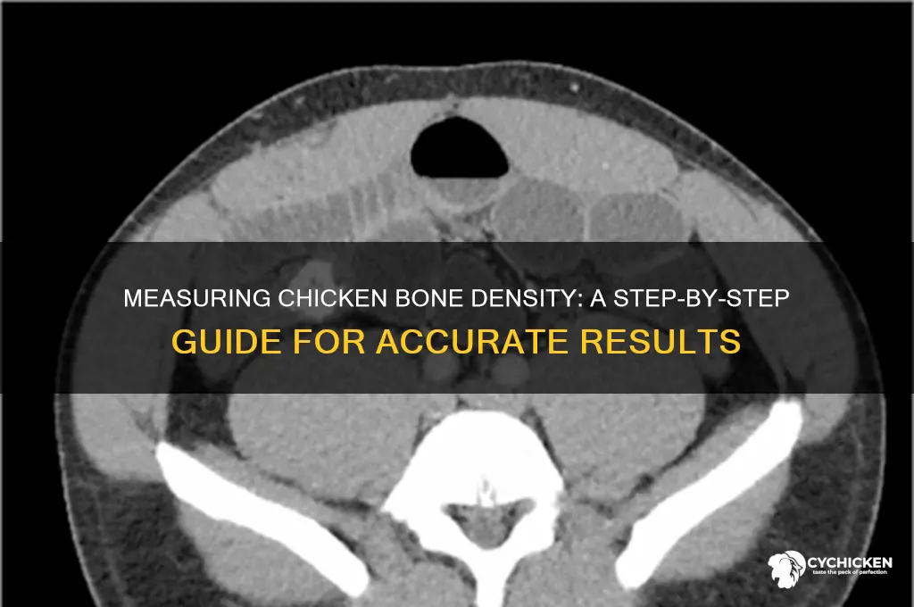 how to measure density of a chicken bone
