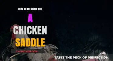 Perfect Fit: A Step-by-Step Guide to Measuring for a Chicken Saddle
