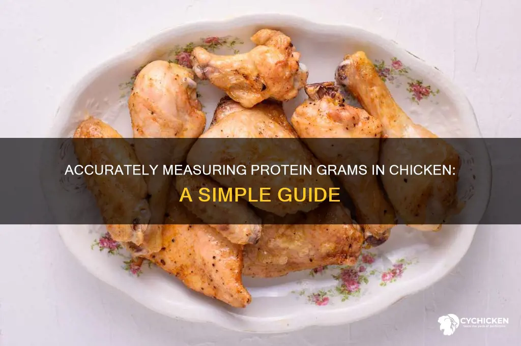 how to measure grams of protein in chicken