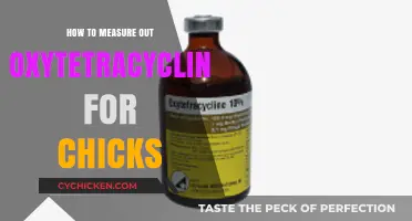 Accurate Oxytetracycline Dosage Guide for Healthy Chick Growth