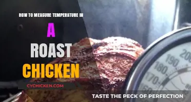 Perfect Roast Chicken: Mastering Temperature Measurement for Juicy Results