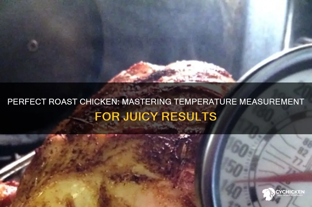 how to measure temperature in a roast chicken
