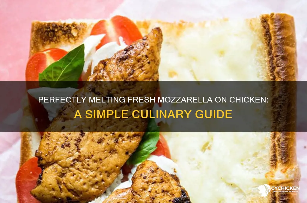 how to melt fresh mozzarella onto chicken
