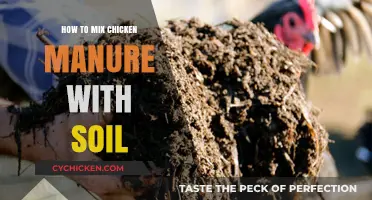 Mixing Chicken Manure with Soil: A Step-by-Step Guide for Richer Gardens