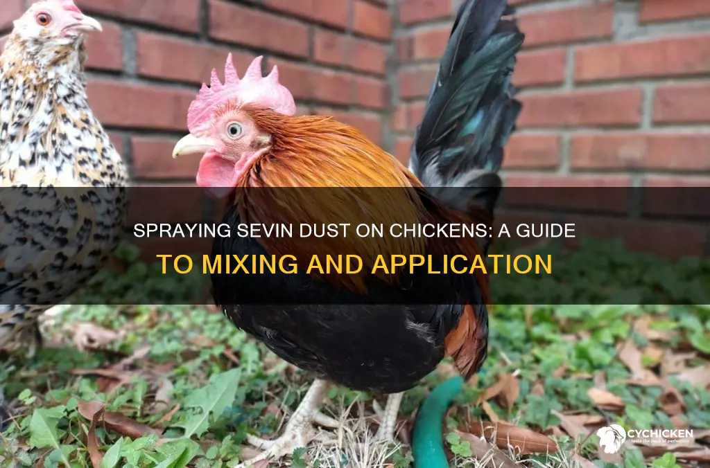 how to mix sevin dust with water spray on chicken