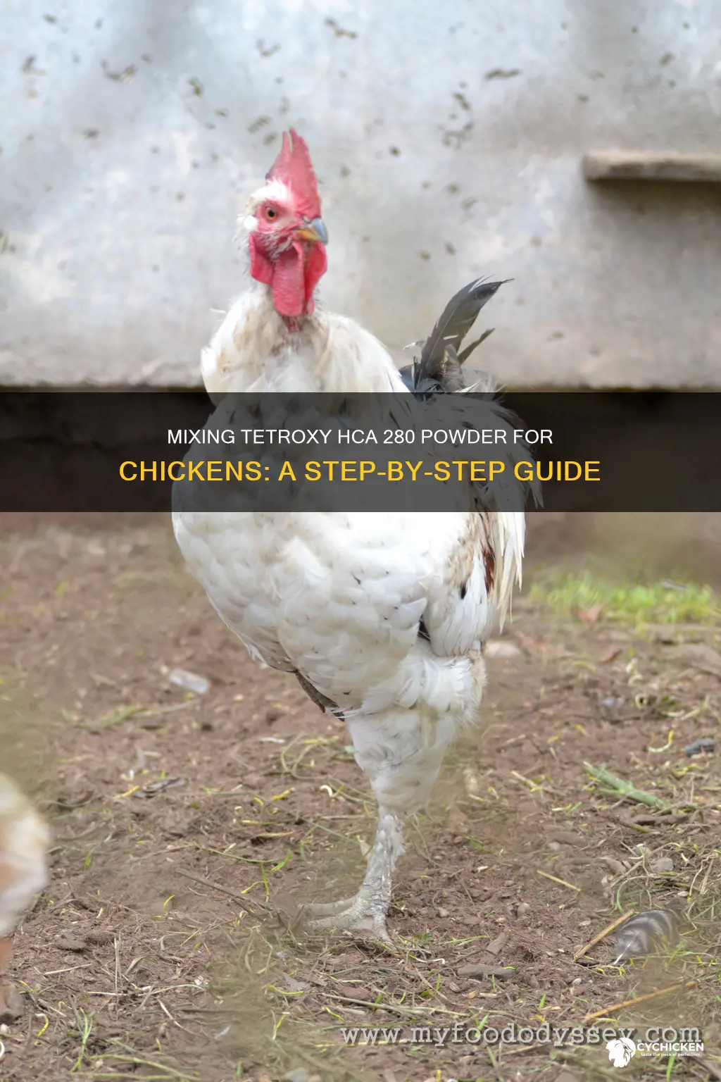 how to mix tetroxy hca 280 powder for chicken