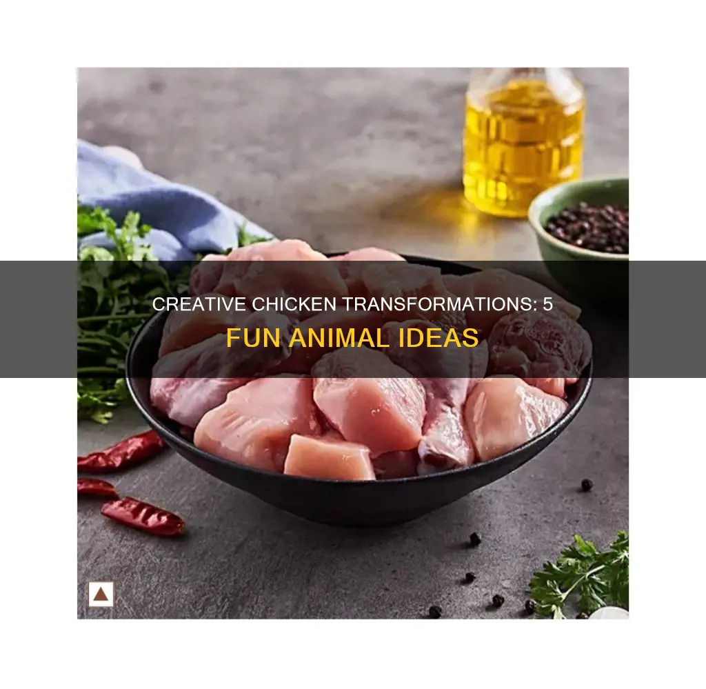 how to mkw a chicken into 5 different animals