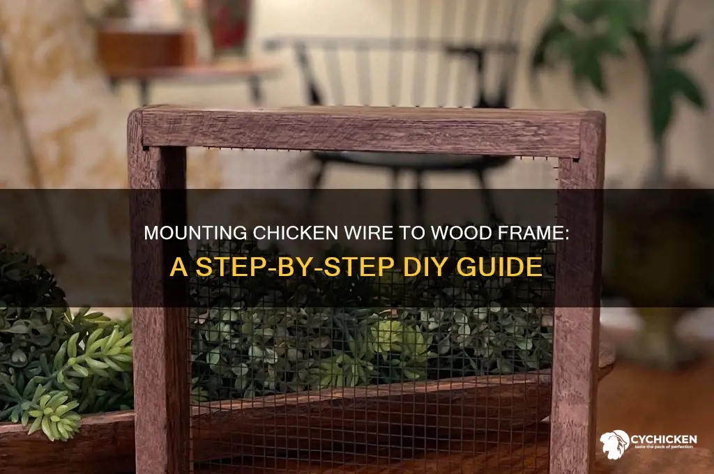 how to mount chicken wire to wood frame