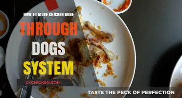 Helping Dogs Pass Chicken Bones Safely: A Step-by-Step Guide