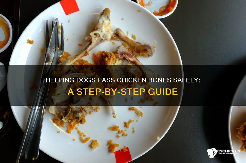 how to move chicken bone through dogs system