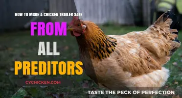 Protecting Your Chicken Trailer: Keeping Predators Away