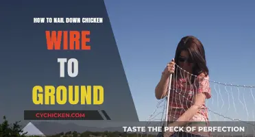 Secure Chicken Wire to Ground: Easy Installation Tips and Tricks