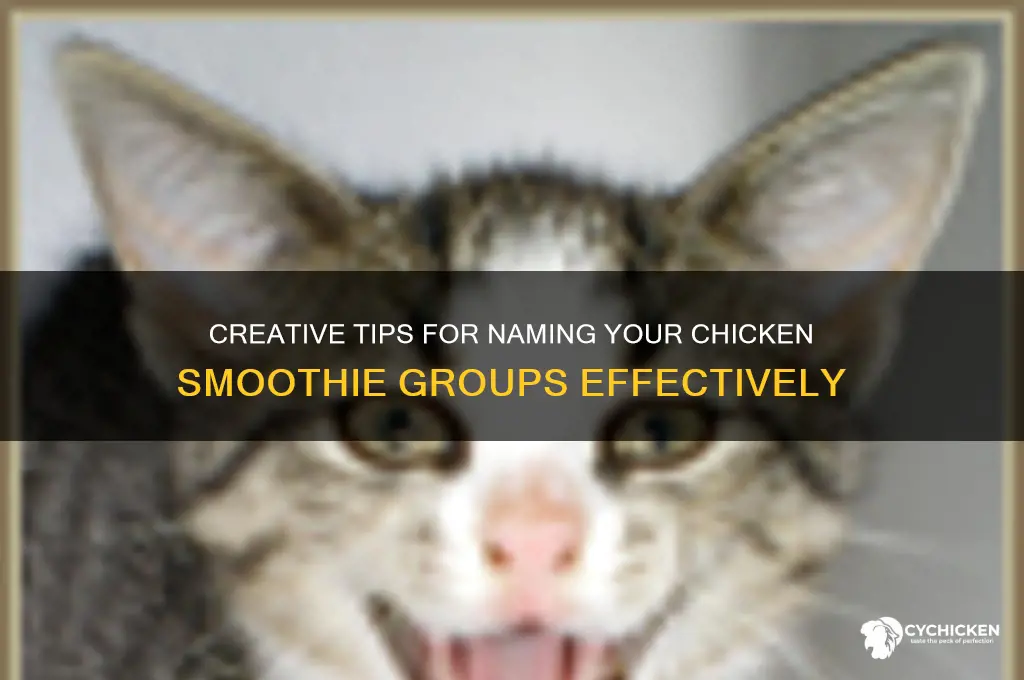 how to name groups in chicken smoothie