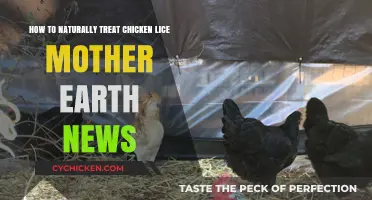 Mother Nature's Cure for Chicken Lice