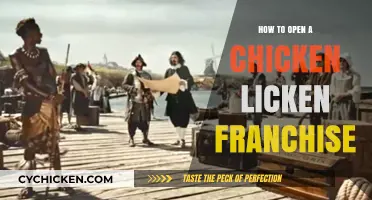 Launch Your Chicken Licken Franchise: A Step-by-Step Guide to Success