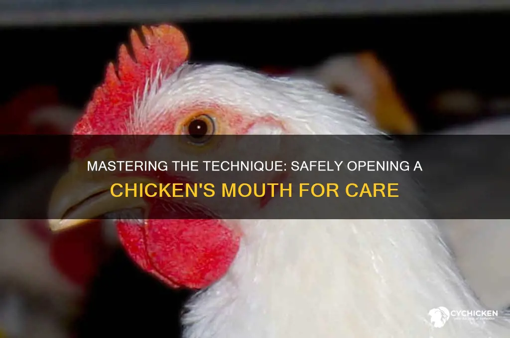 how to open a chicken