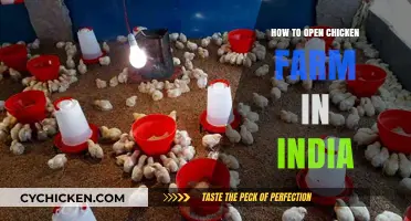 Starting a Chicken Farm in India: A Comprehensive Guide to Success