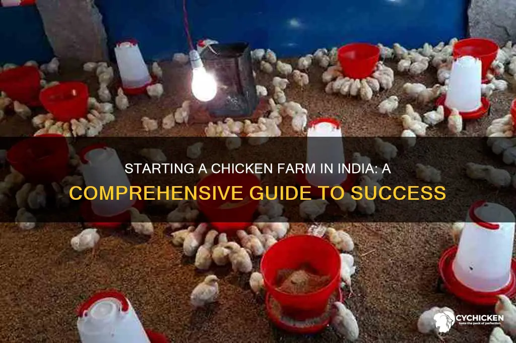 how to open chicken farm in india
