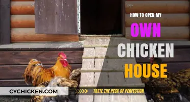 Starting Your Own Chicken House: A Step-by-Step Guide to Success