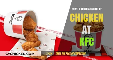 A Quick Guide to Ordering KFC's Bucket of Chicken