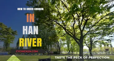 Mastering the Art of Ordering Chicken by Han River