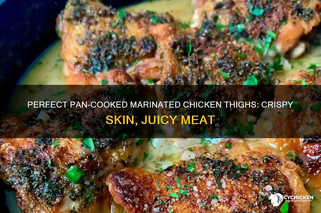 how to pan cook marinated chicken thighs with skin