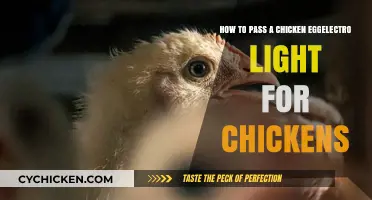 Bright Chickens: Egg-cellent Lighting for Better Hatching