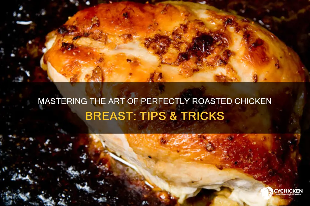 how to perfectly roast a chicken breast