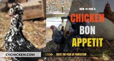 Mastering the Art of Choosing the Perfect Chicken: Bon Appétit Guide
