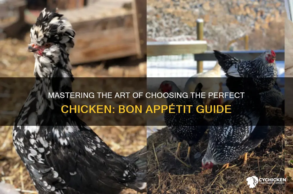 how to pick a chicken bon appetit