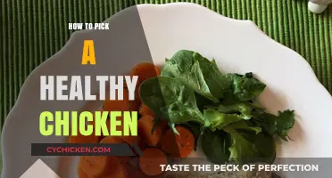 Choosing the Perfectly Healthy Chicken: A Shopper's Guide