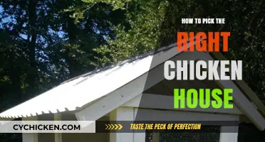 Choosing the Perfect Chicken House: A Comprehensive Guide for Poultry Owners