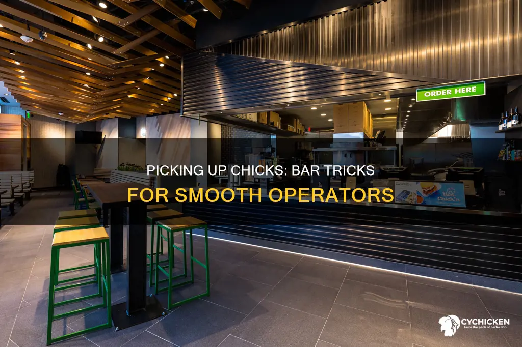 how to pick up a chick at the bar
