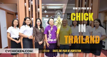 Mastering the Art of Meeting Thai Women: A Cultural Guide