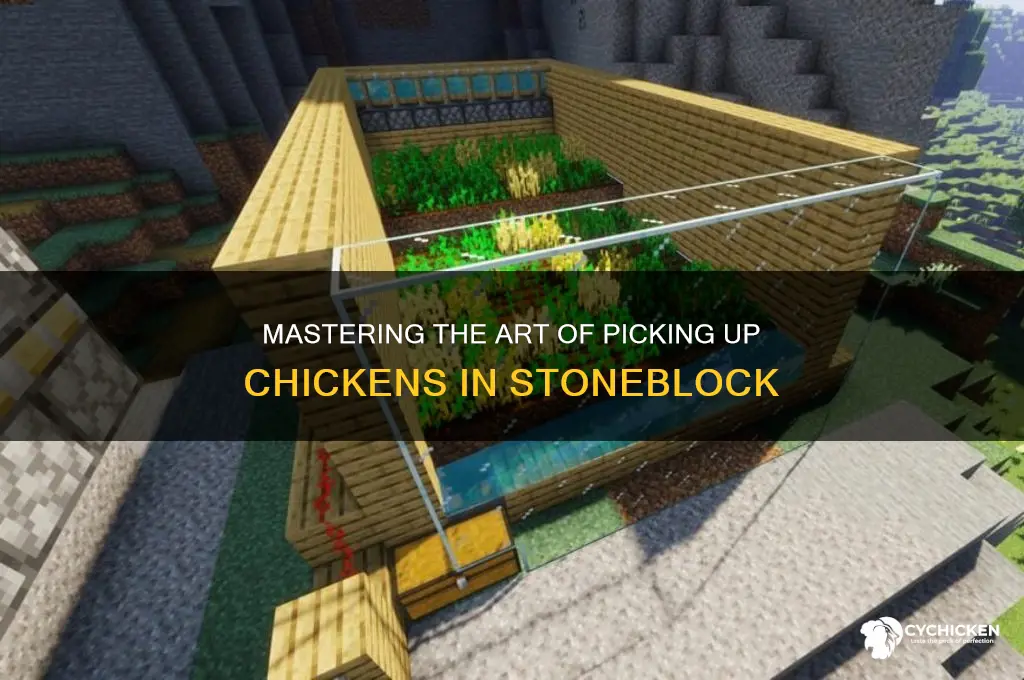 how to pick up a chicken stoneblo9ck