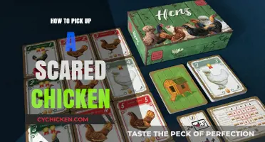 Calmly Handling Scared Chickens: Gentle Techniques for Safe Pick-Up