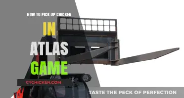 Mastering Chicken Capture: Essential Tips for Atlas Game Players