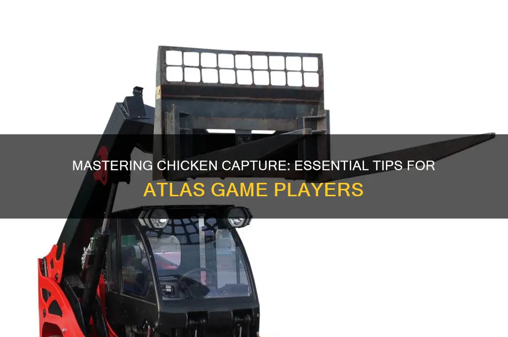 how to pick up chicken in atlas game