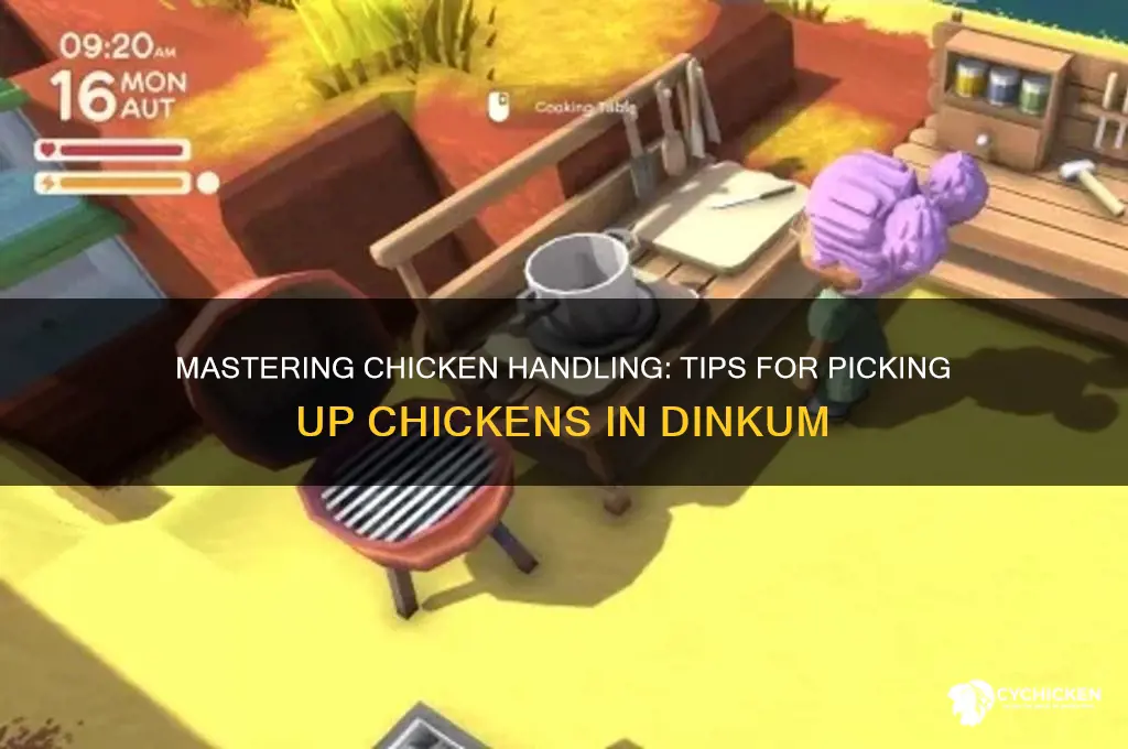how to pick up chicken in dinkum