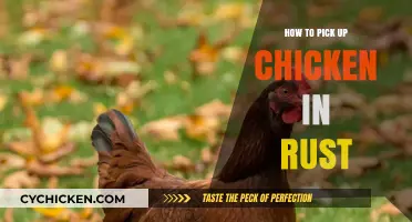 Mastering Chicken Collection: Essential Tips for Rust Players
